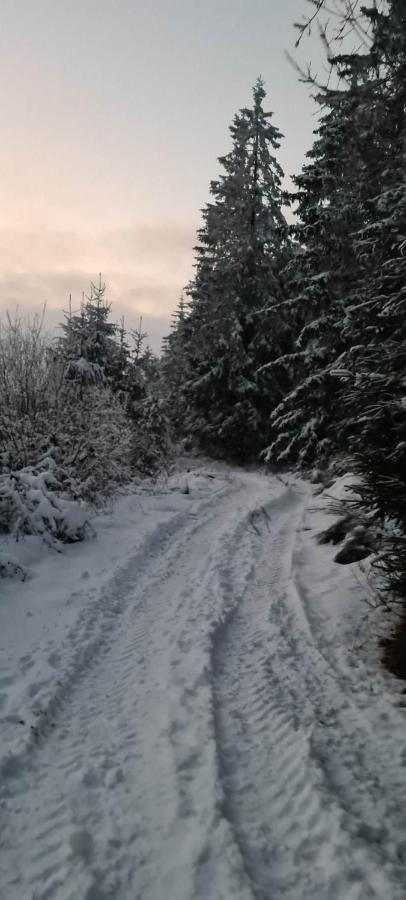 Ferme La Joye Bed & Breakfast Houffalize Dış mekan fotoğraf