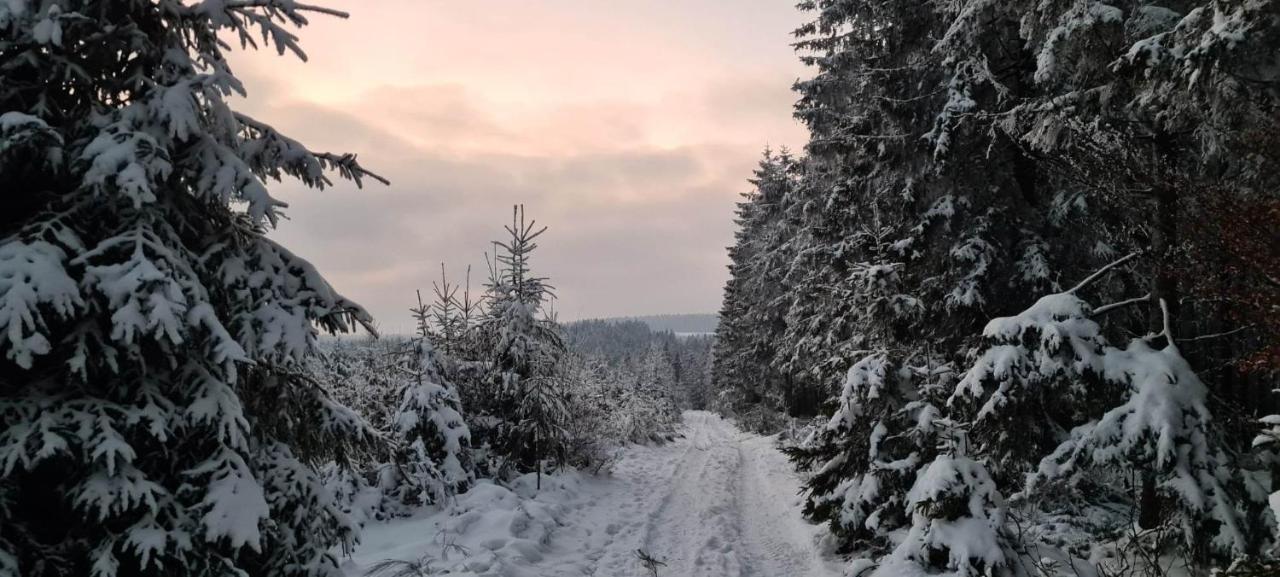 Ferme La Joye Bed & Breakfast Houffalize Dış mekan fotoğraf